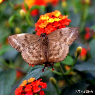 炸裂骑士团无限钻石金币版下载